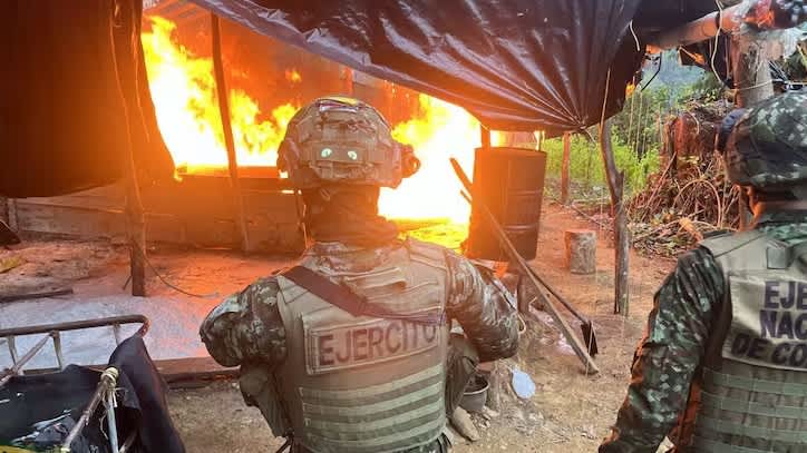 Imagen de Ejército destruye cinco laboratorios de coca en Antioquia y Córdoba
