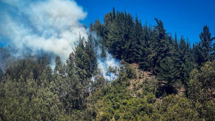 Imagen de Cundinamarca fortalece plan de contingencia por fenómeno del Niño con 82% de probabilidad