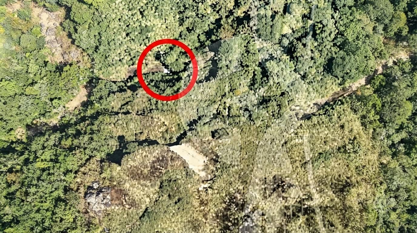 Imagen de Confirman la muerte de los cinco ocupantes de avioneta accidentada en Chocó