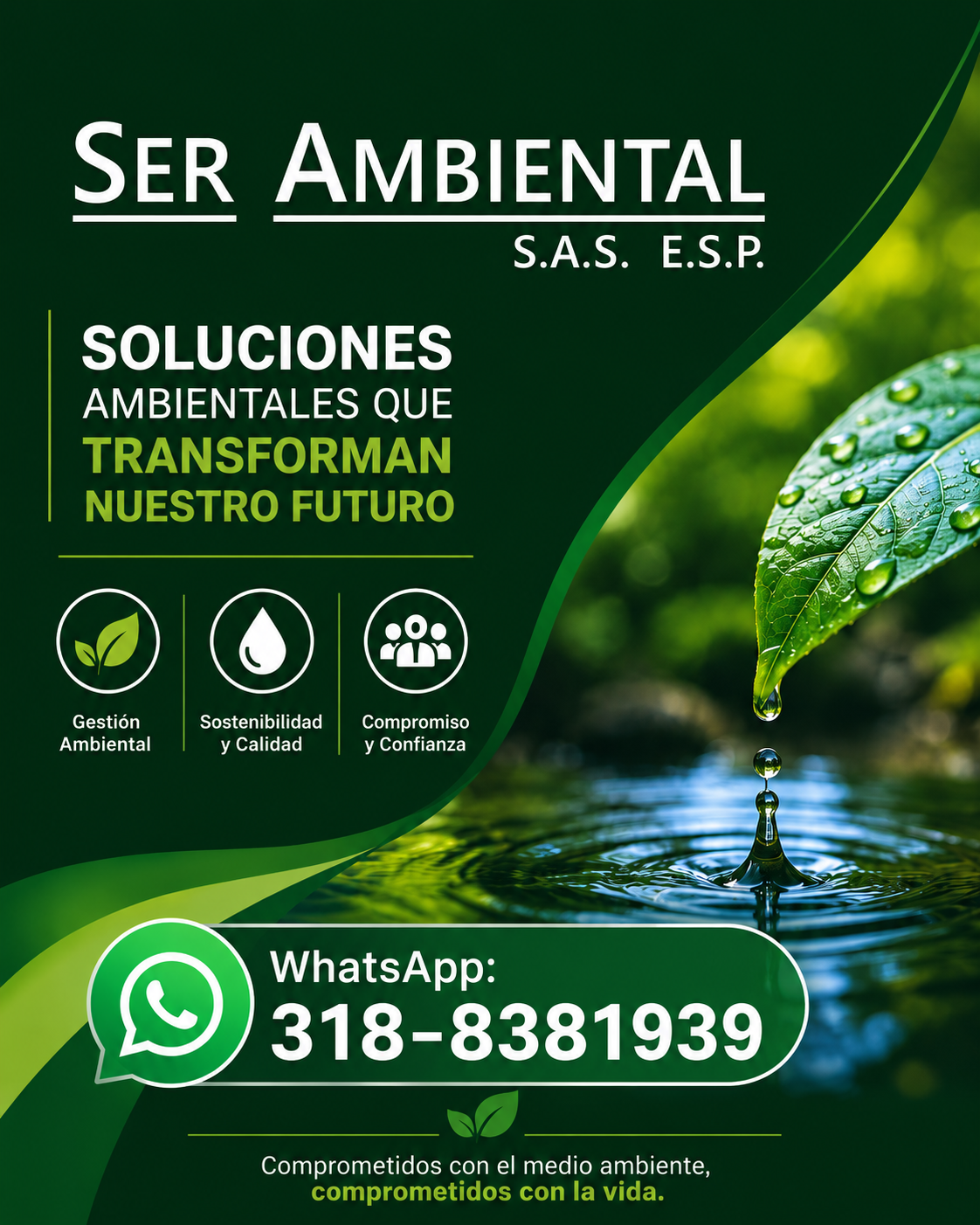 Publicidad Banner 2