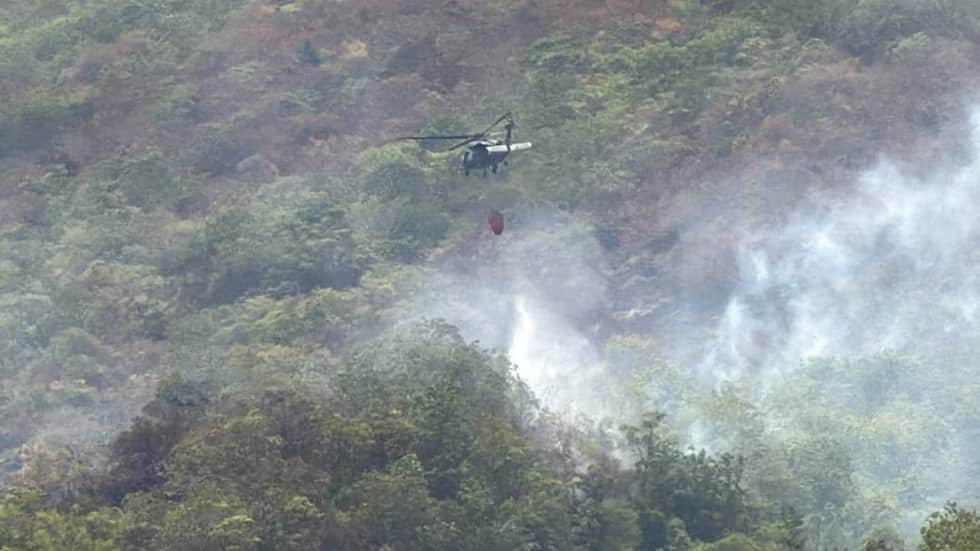 Imagen de Autoridades enfrentan 21 incendios forestales en Colombia, con 12 focos activos en el Tolima