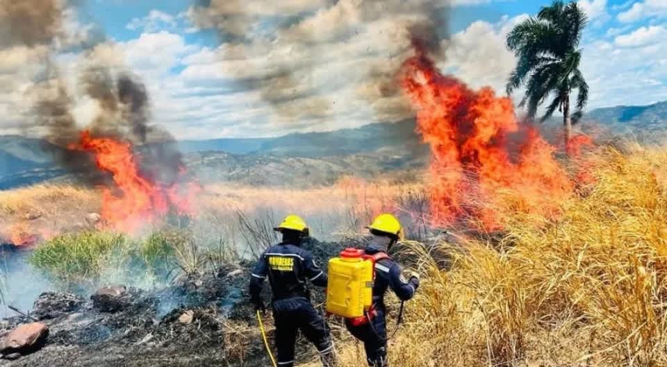 Imagen de Cundinamarca suma 760 incendios forestales en 2026 tras atender cinco nuevos conatos