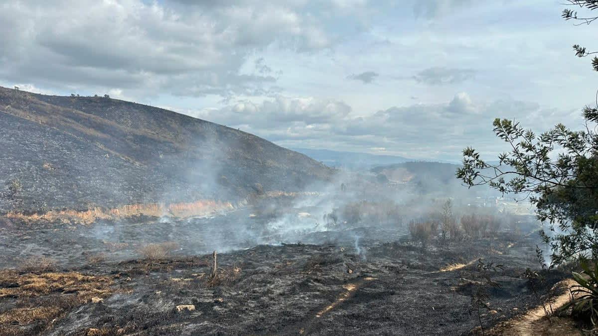Imagen de Incendios forestales mantienen en alerta a Cundinamarca: cuatro municipios afectados