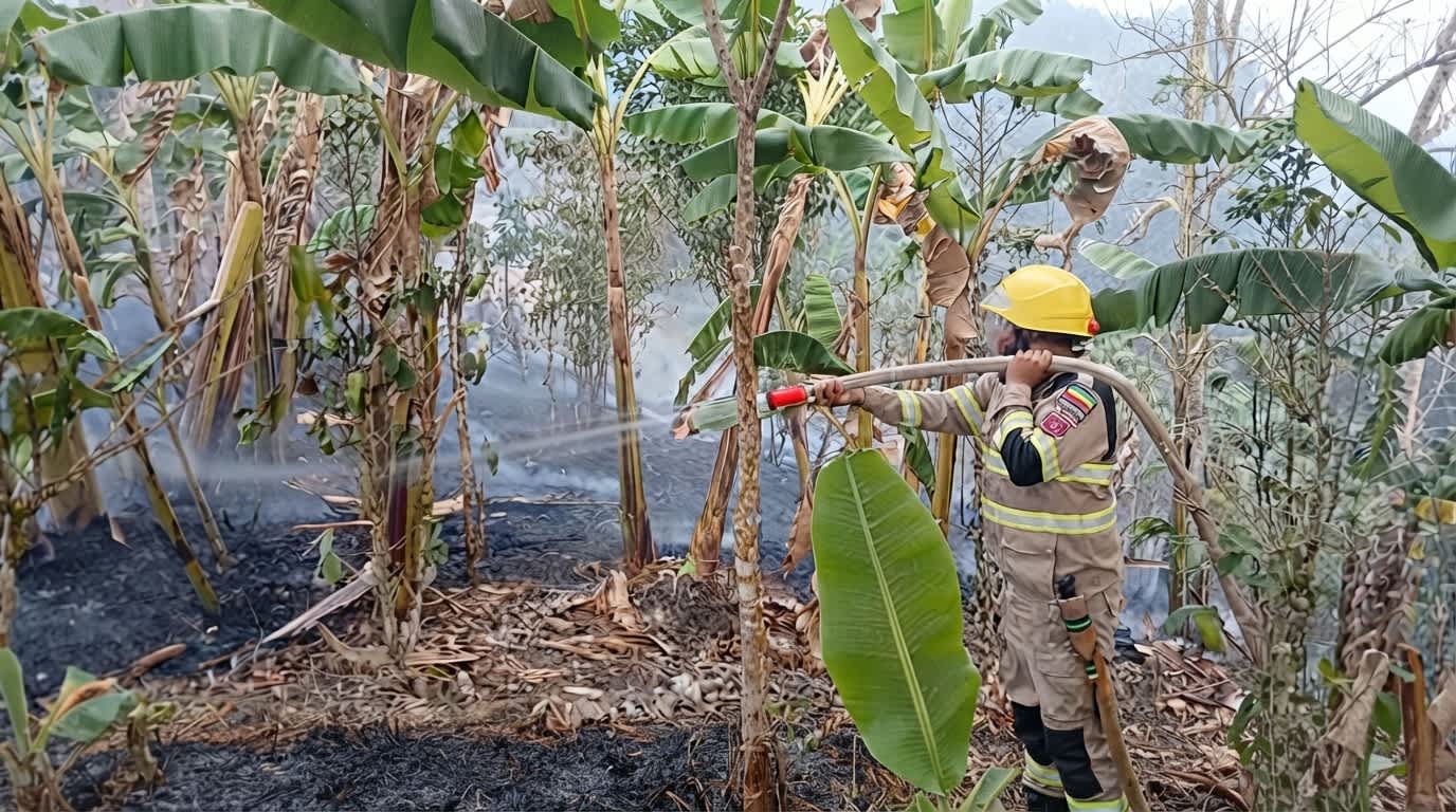 Imagen de Cundinamarca supera los 800 incendios forestales en 2026: estos son los municipios más afectados