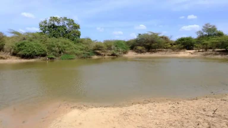 Imagen de Fenómeno del Niño dispara temperaturas a 40°C en el Caribe colombiano