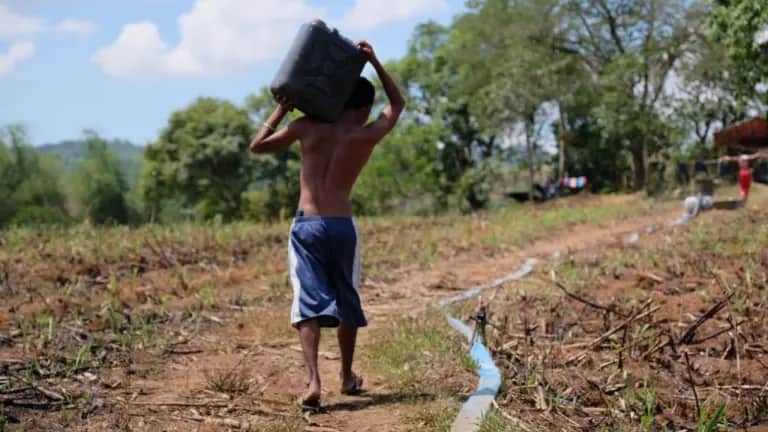 Imagen de Fenómeno de El Niño podría causar 451.000 muertes adicionales por calor a nivel mundial