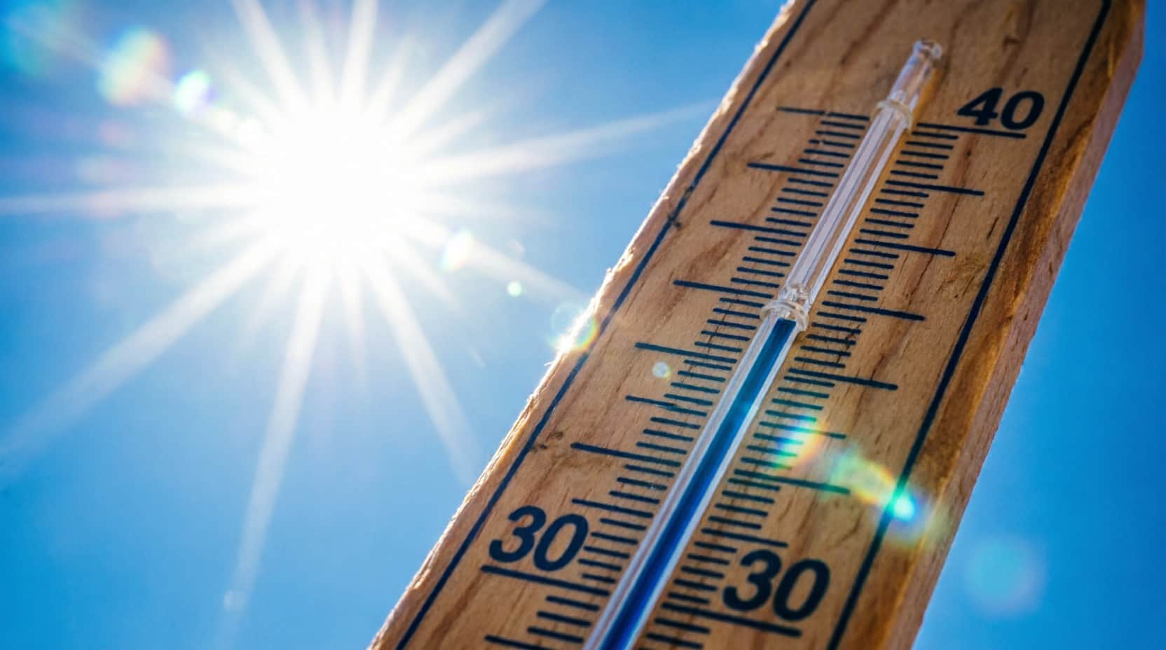 Imagen de Ola de calor y Fenómeno de El Niño encienden las alarmas: 336 municipios en alerta por incendios