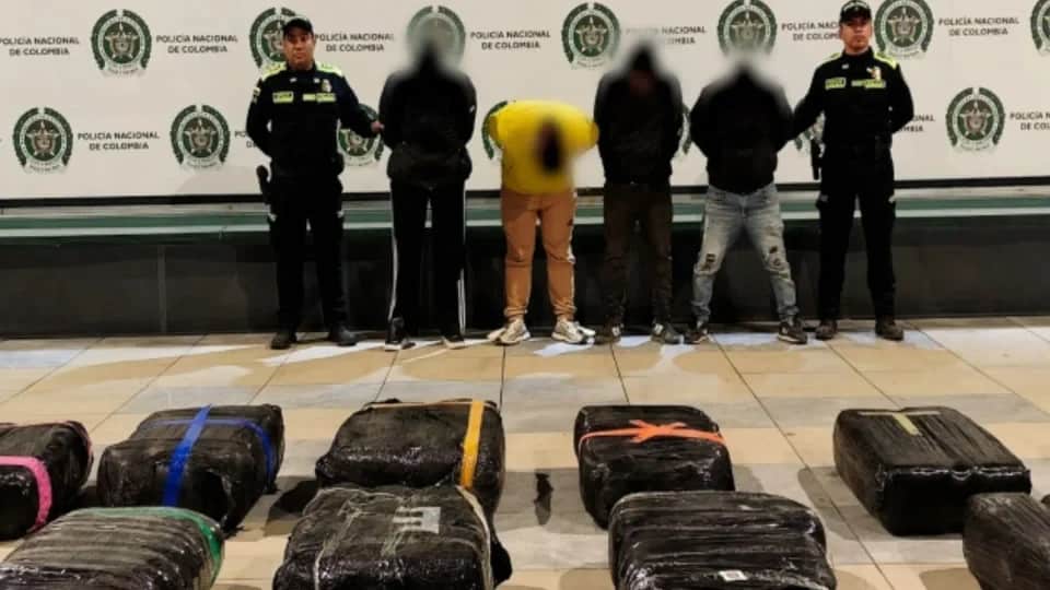 Imagen de Incautan más de dos toneladas de marihuana oculta en fundación de mascotas en Bogotá